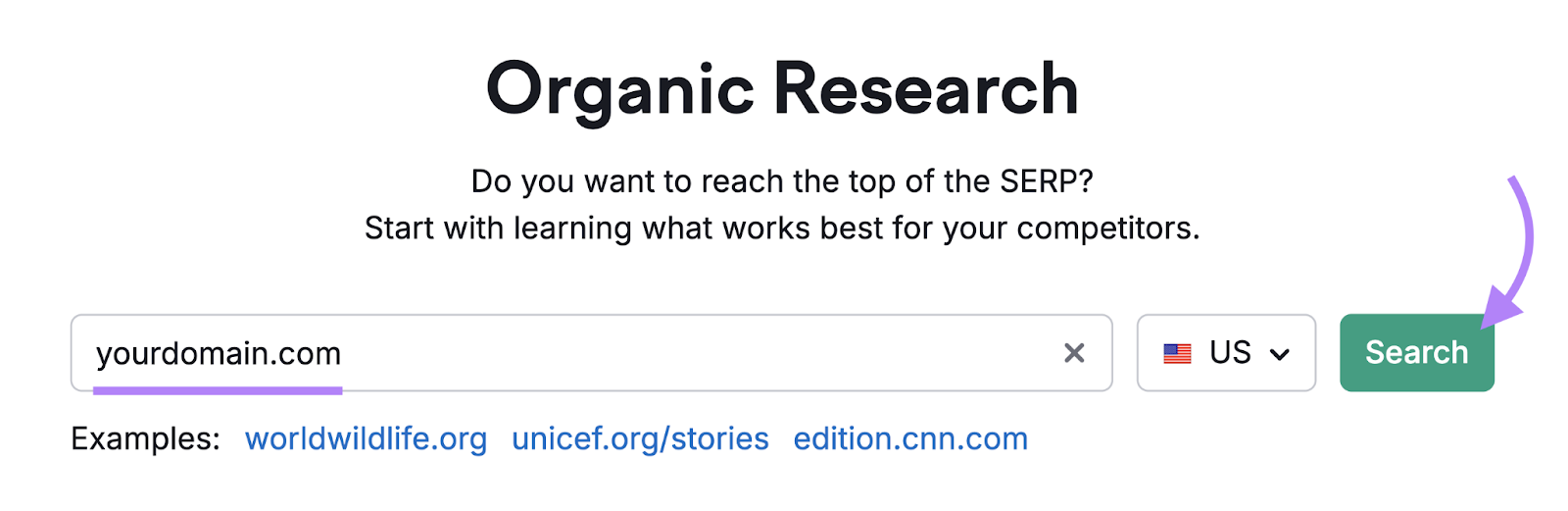 domain entered into Organic Rankings