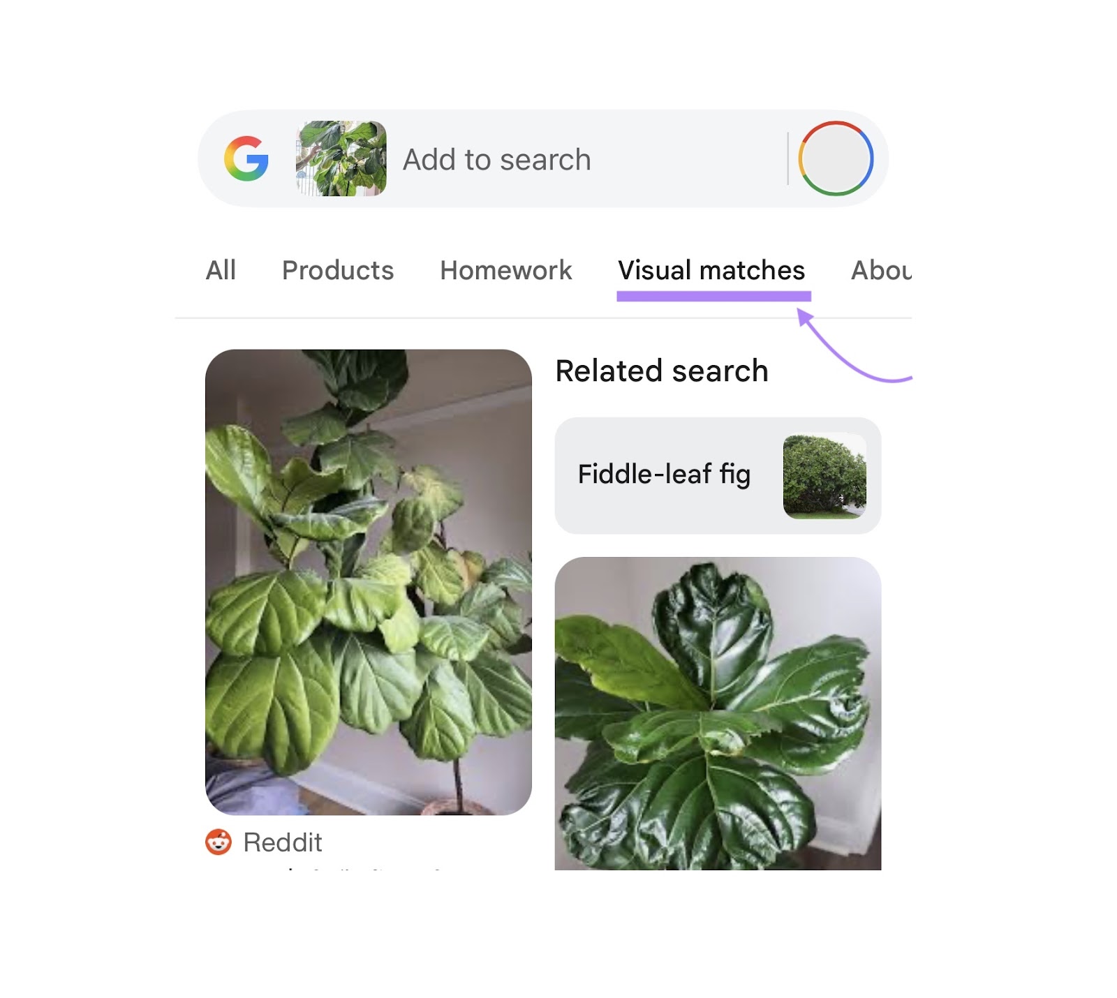 Google SERP with an image in the search bar and the "Visual matches" tab clicked.