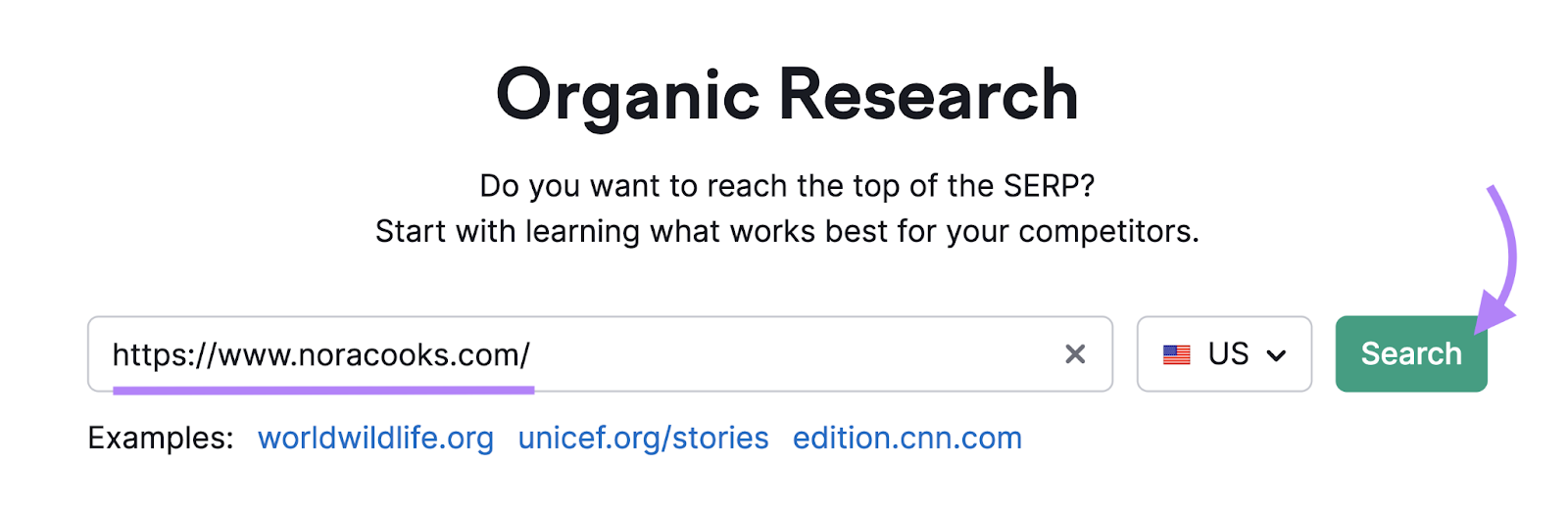 vegan recipe website entered into organic rankings tool
