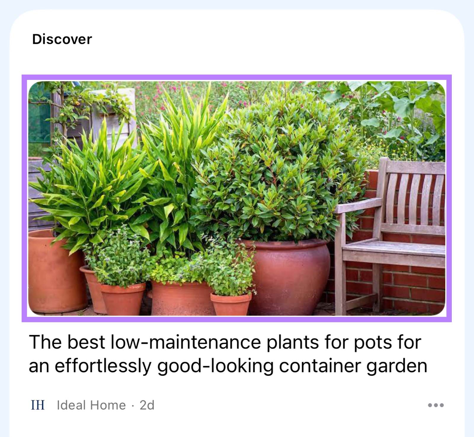 Google Discover card with main image highlighted