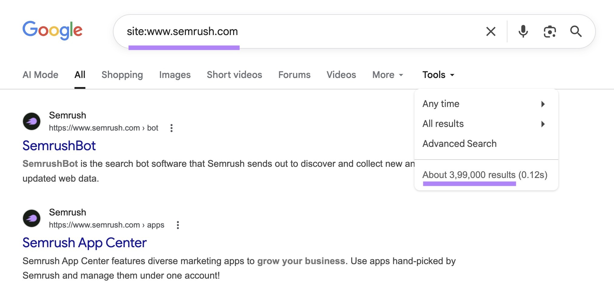 Google shows about 3,99,000 results for “site:sr03.balochseotools.com” search.