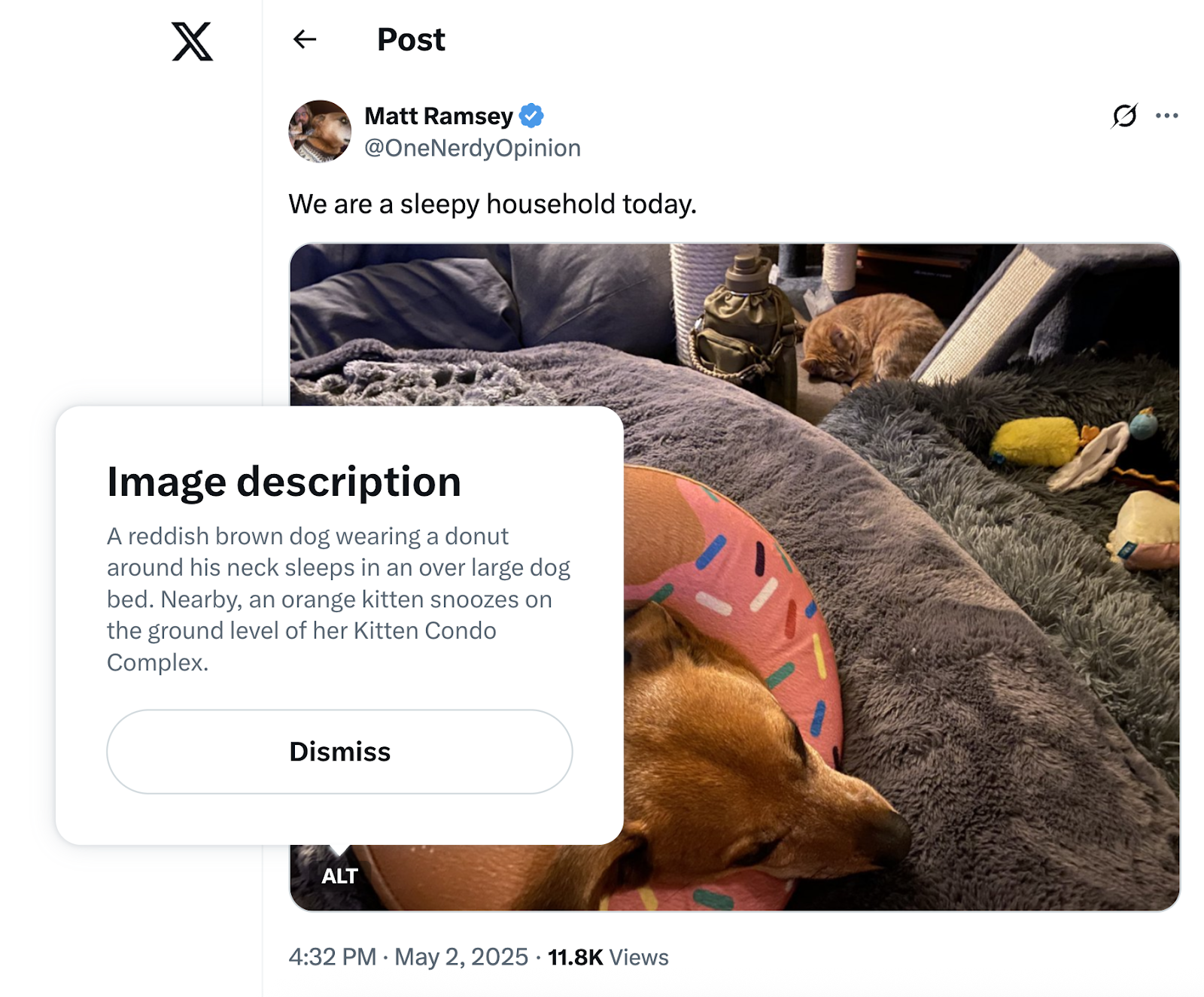 ALT tag opens image description box, or alt text for a post's image.