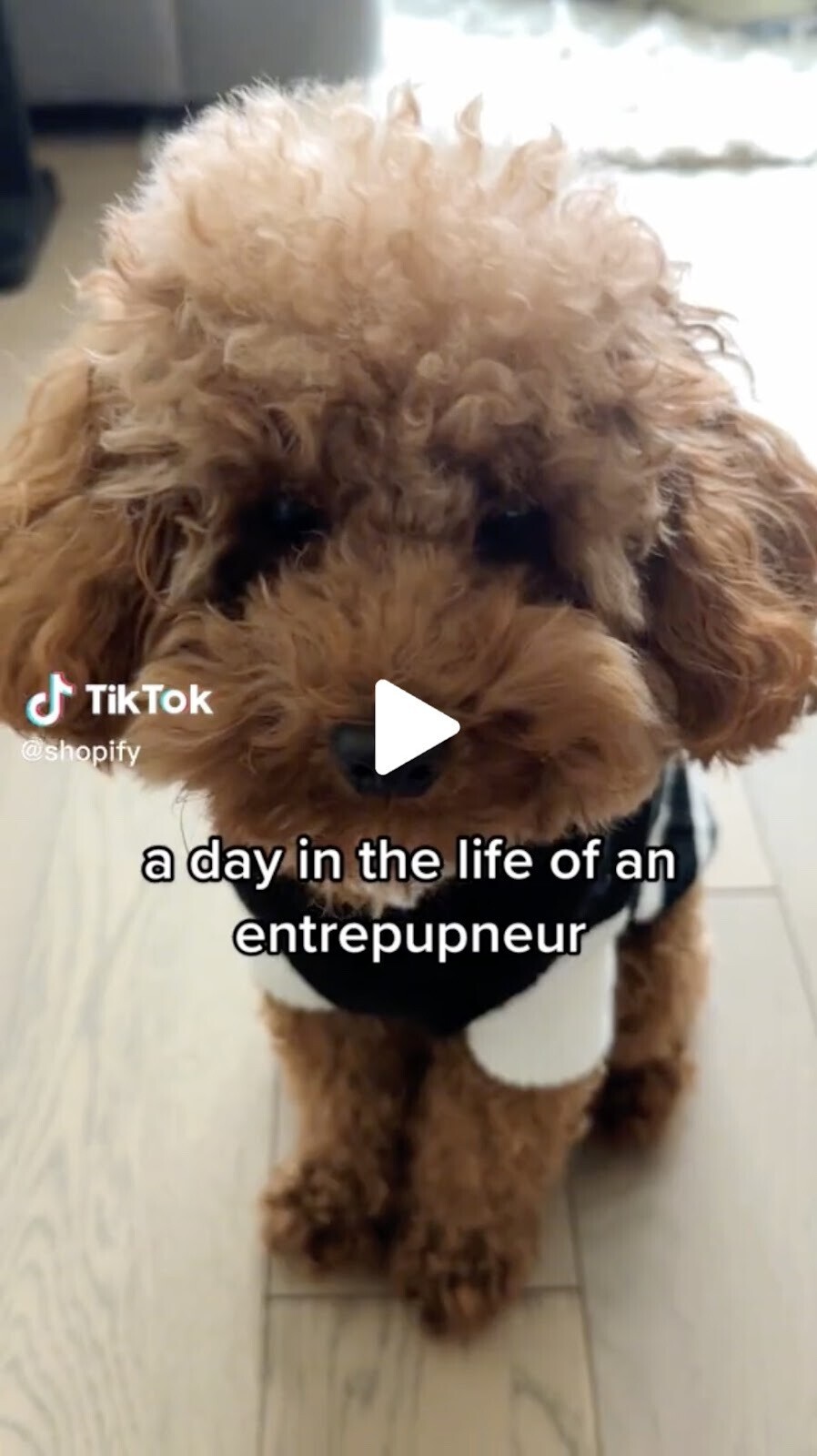 “a day in the life of an entrepupneur" TikTok video by Shopify
